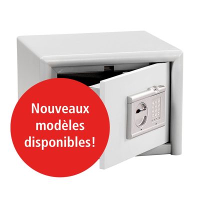 Modèle en voie de disparition